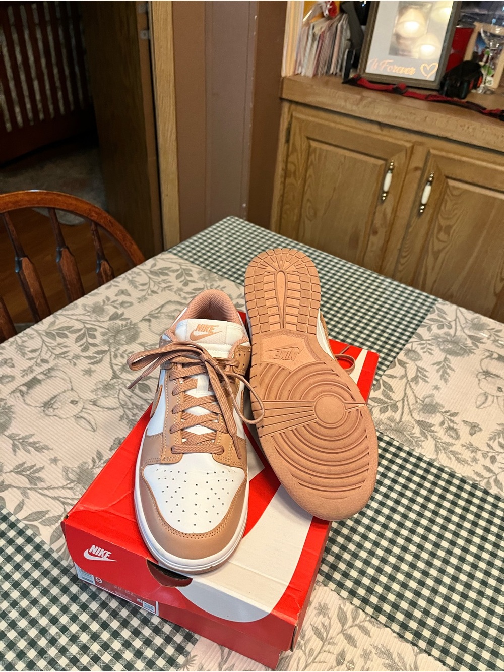 Nike Dunks Women’s Sneakers